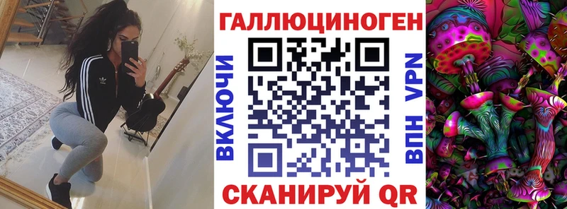 Купить где  Пойковский  Псилоцибиновые грибы Psilocybe 